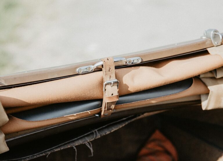 Transform Your Car with Innovative Organizers from Motorhavens