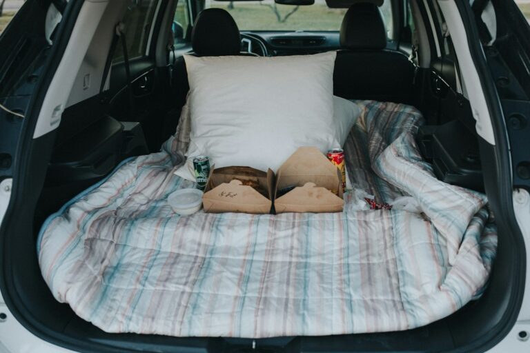 10 Essential Car Organizer Solutions You Didn’t Know You Needed