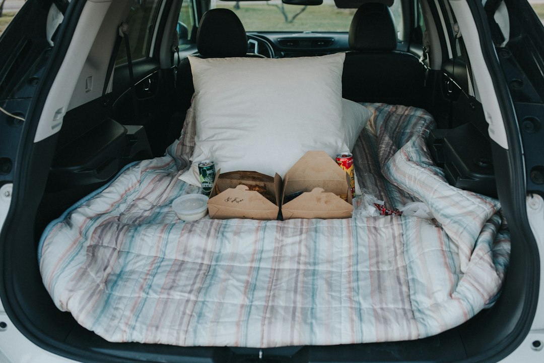 10 Essential Car Organizer Solutions You Didn’t Know You Needed 10 Essential Car Organizer Solutions You Didn’t Know You Needed