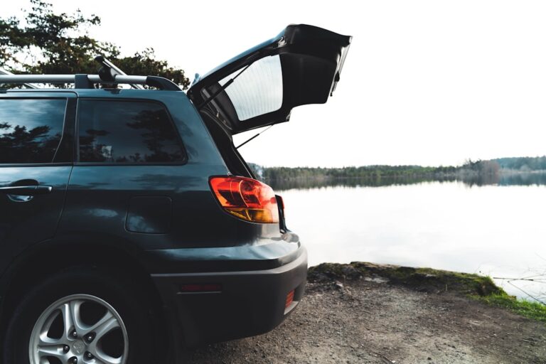 Why Every Car Owner Should Invest in a Quality Organizer